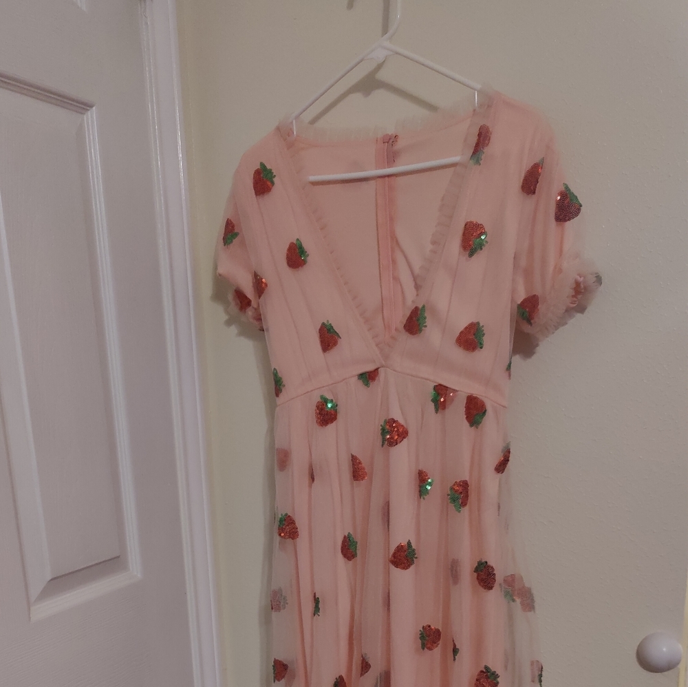 The Strawberry Dress